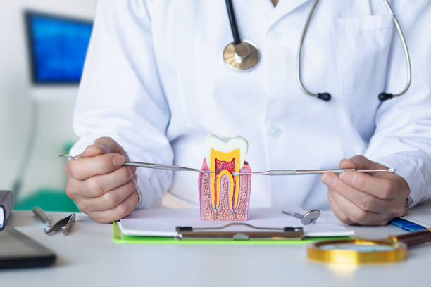 Best Emergency Root Canal Treatment in Lyncourt, NY
